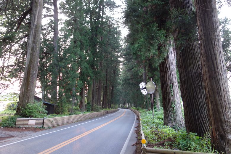 Cedar Avenue of Nikkō