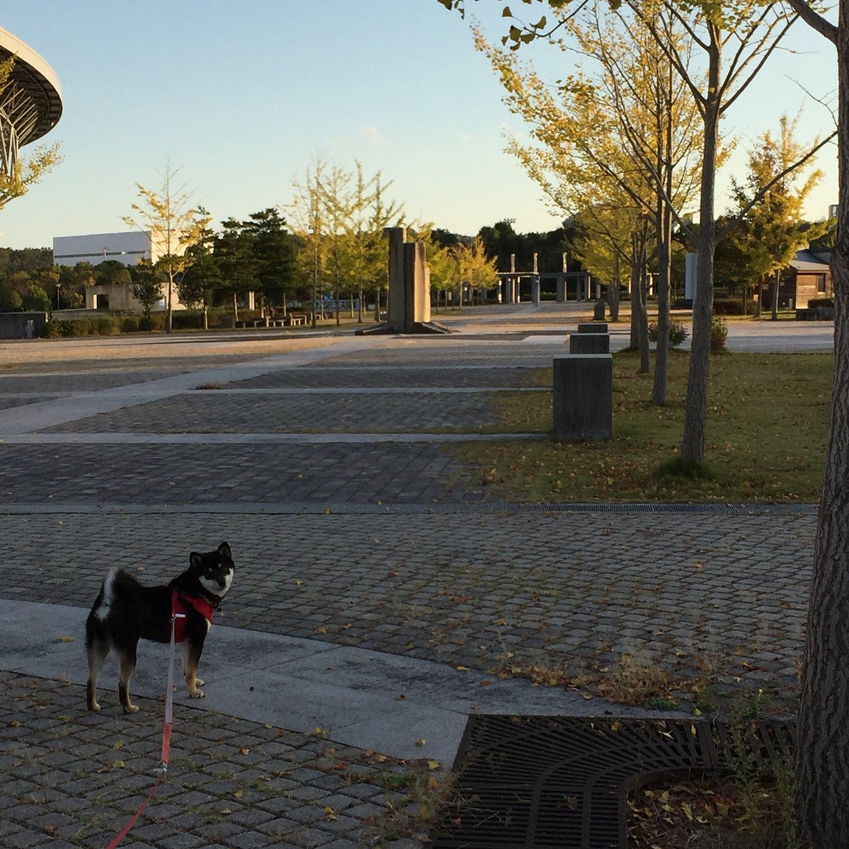 Miki Bosai Park cover image