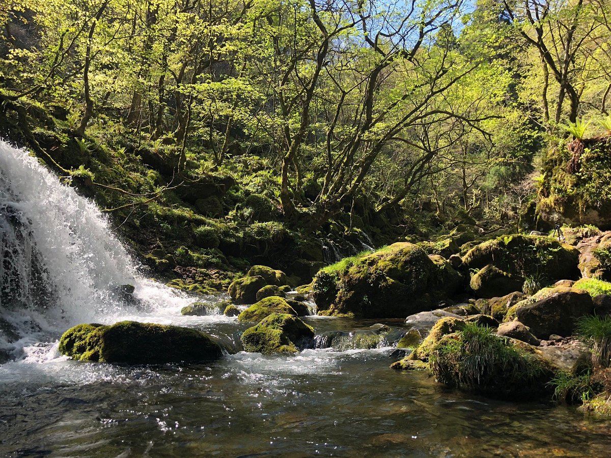 Mototakifukuryusui cover image