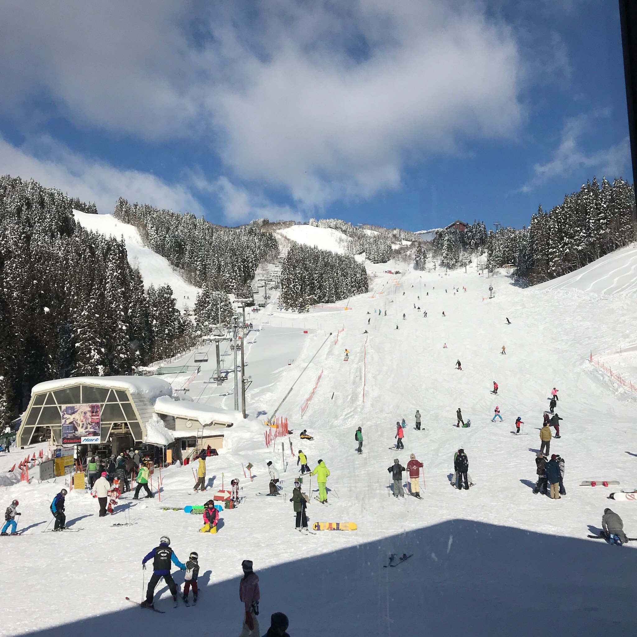 Winghills Shirotori cover image