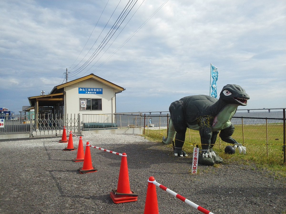 Kaneda Mitate Kaigan cover image