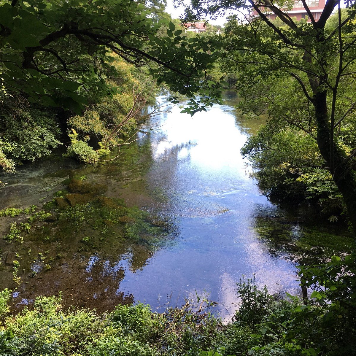 Kakitagawa Park cover image