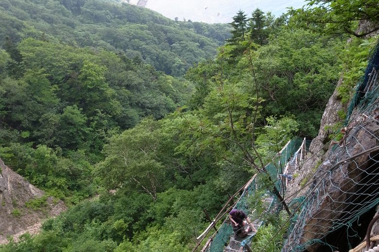 Ota Shrine cover image