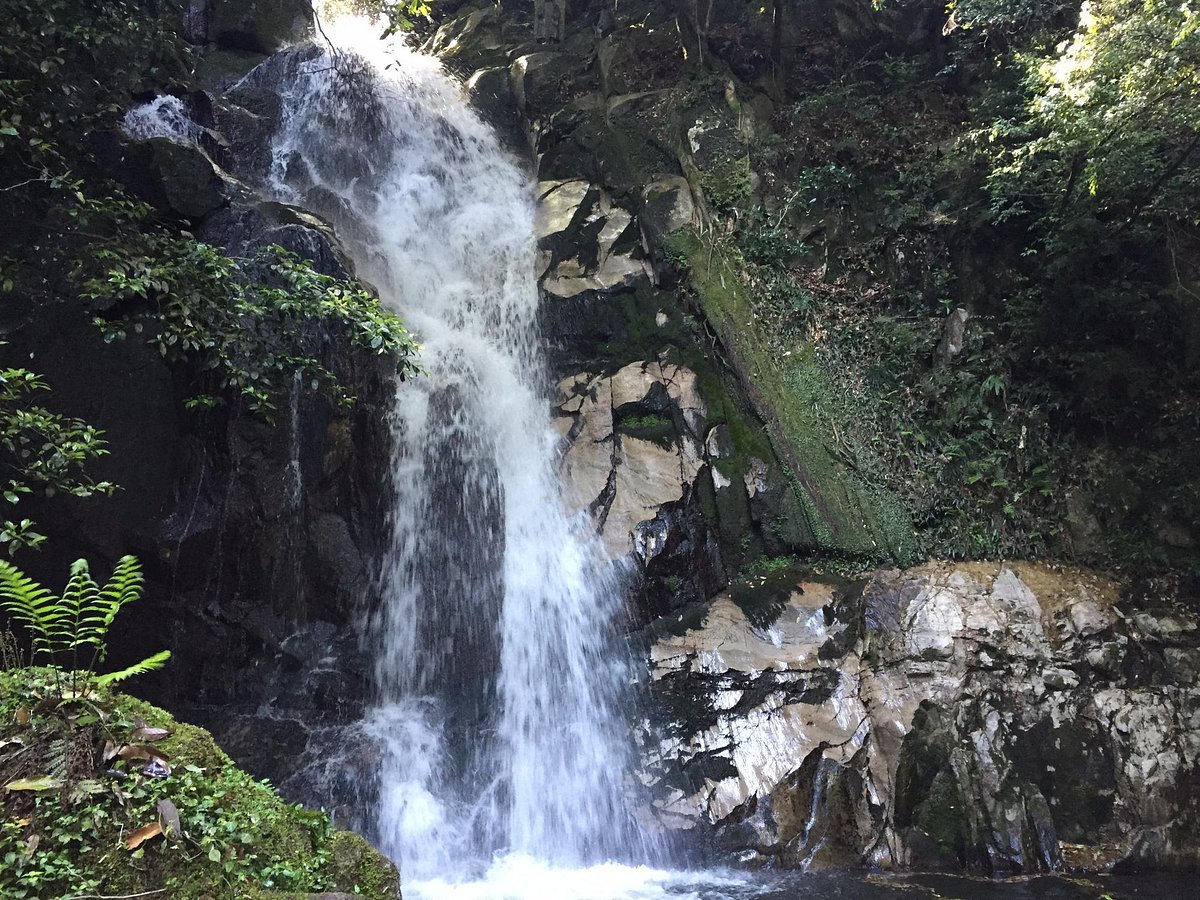 Ochozuno-taki cover image