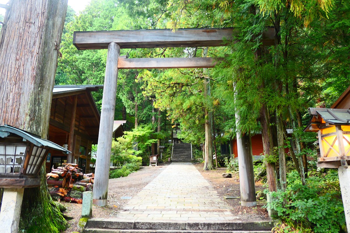 Nishinashinmeigu cover image