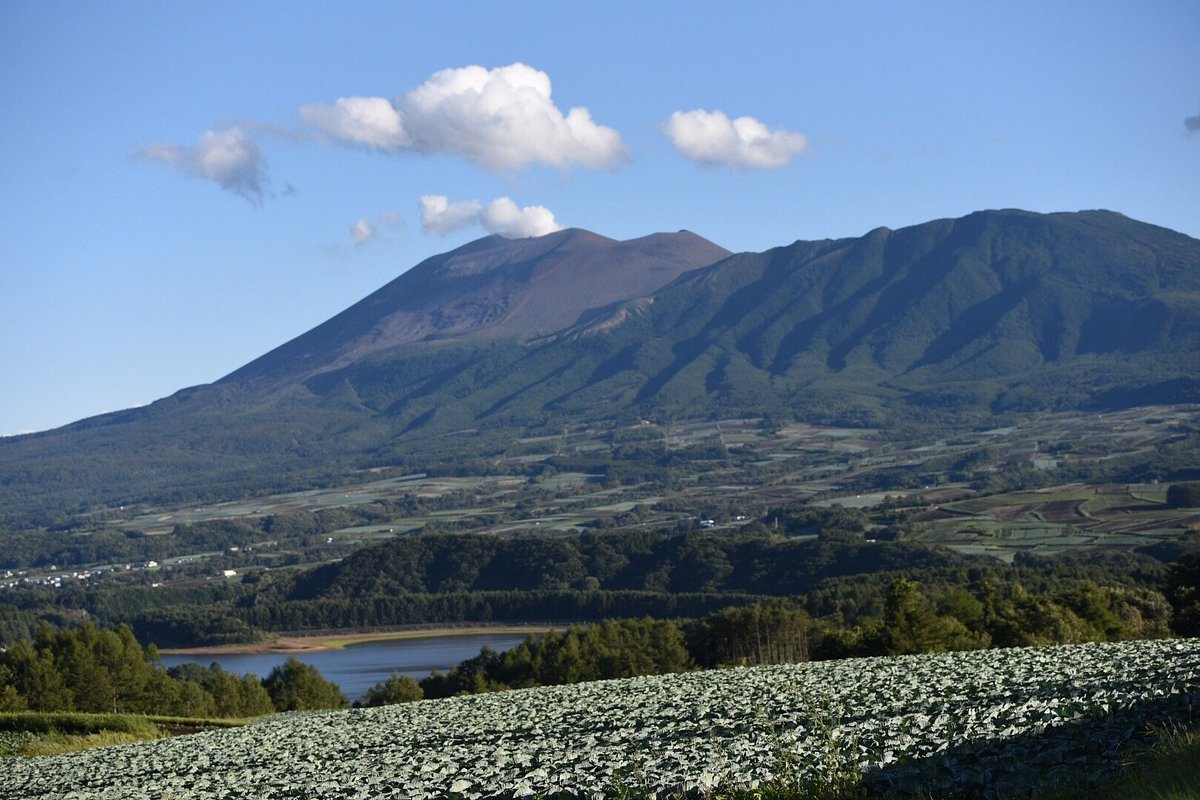 Aisai no Oka cover image