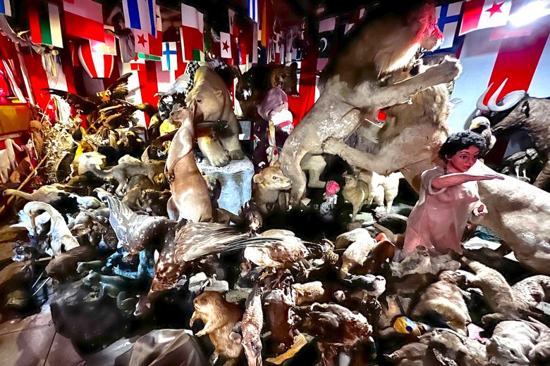 Maboroshi Hakurankai cover image