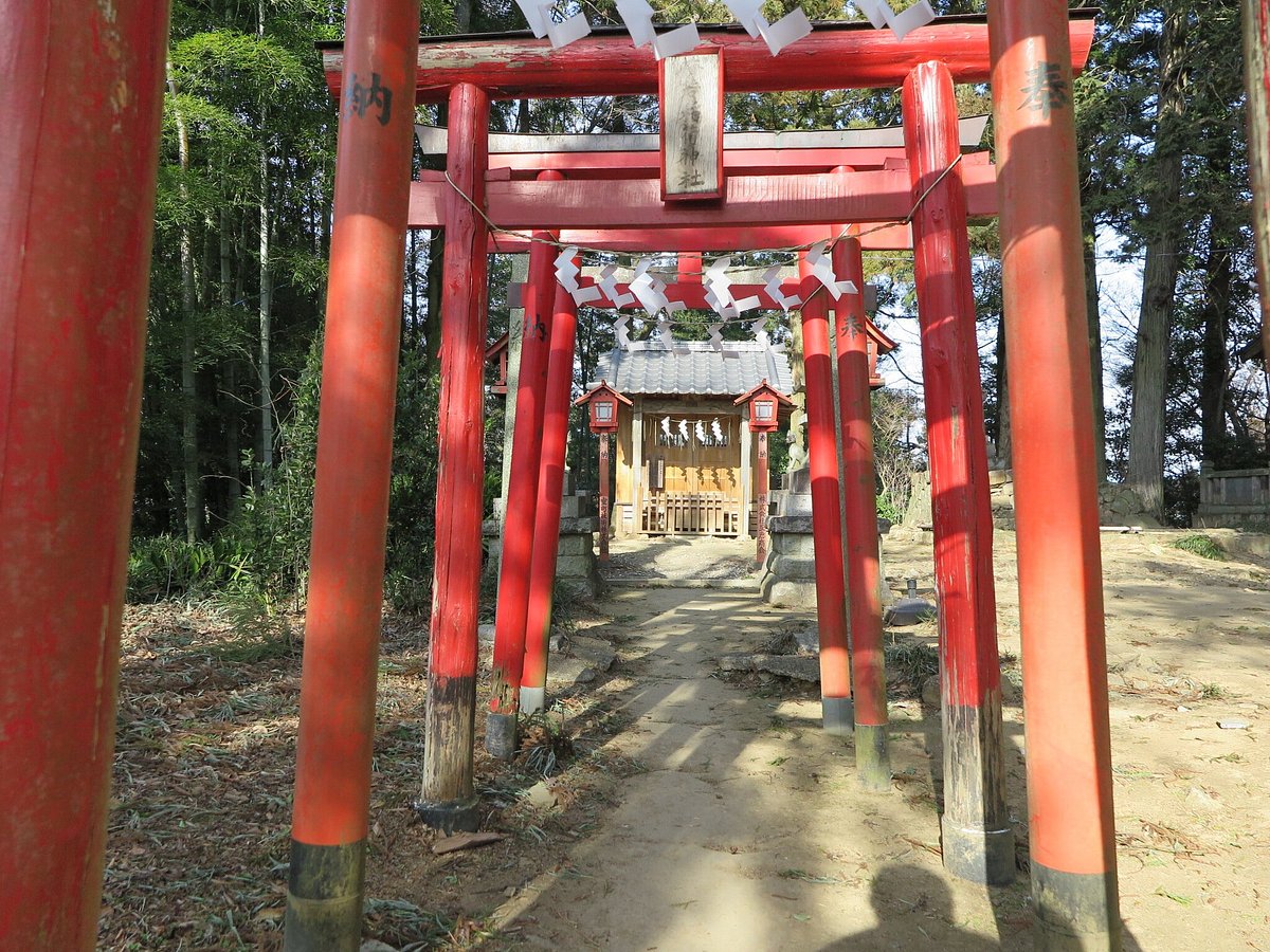 Kanayama Castle Remains cover image