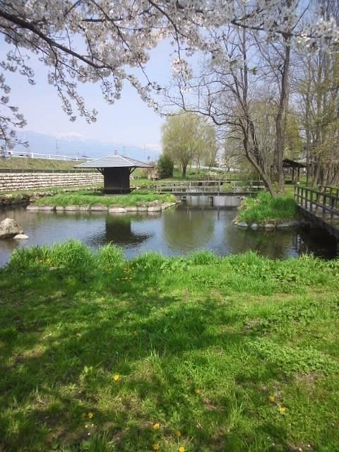 Azumino Wasabida Springs Park cover image