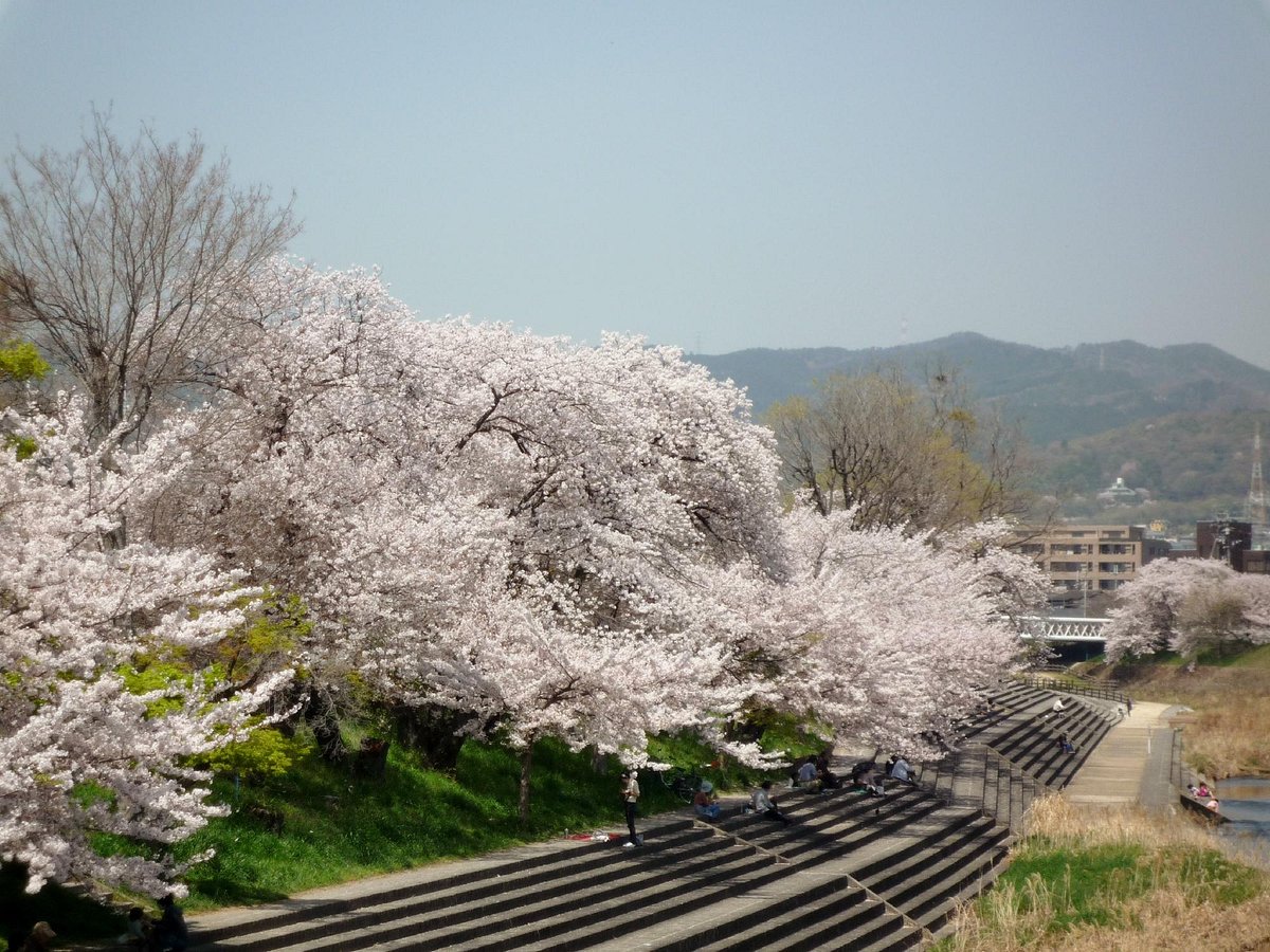 Akutagawasakurazutsumi Park