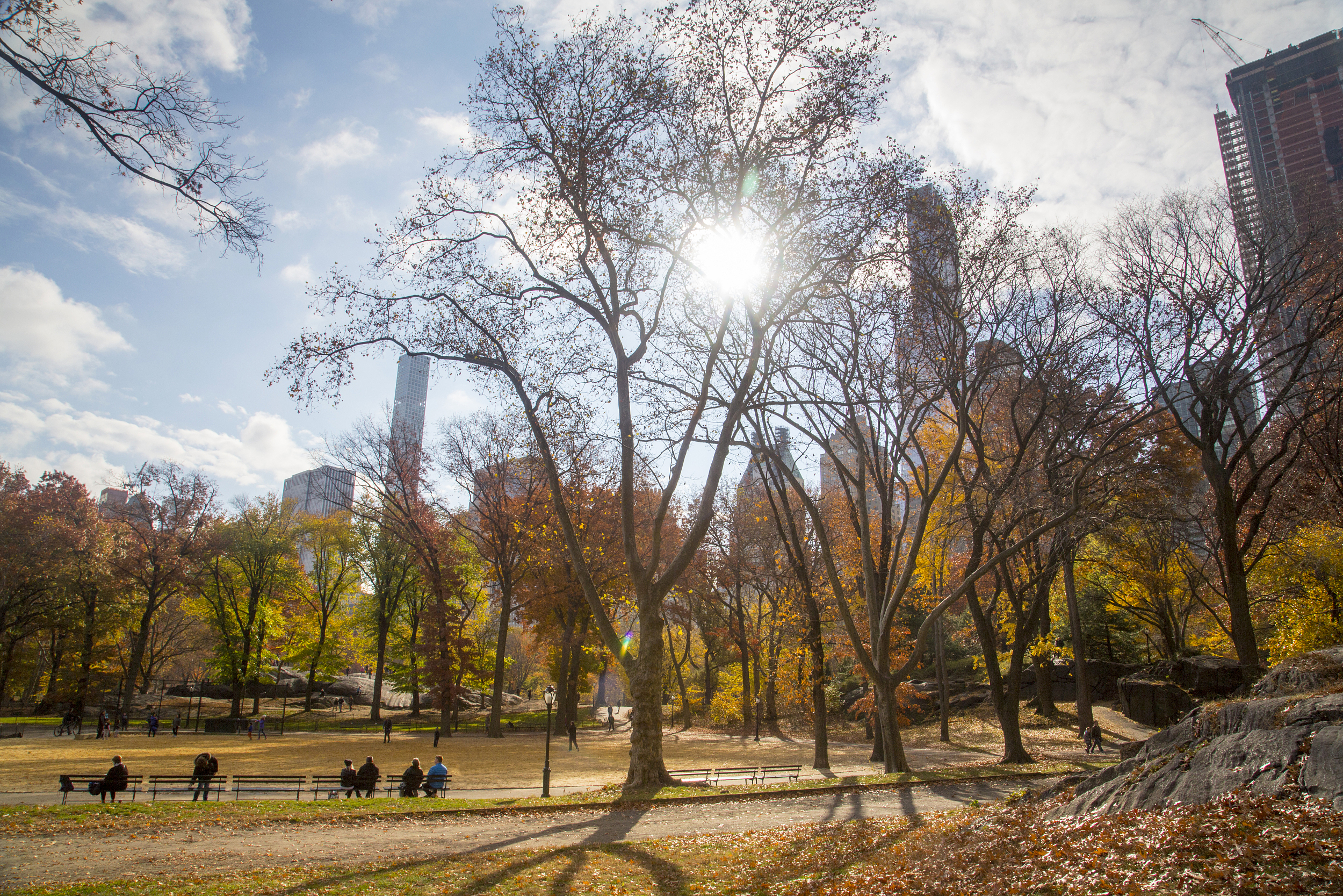 Shinjuku Central Park