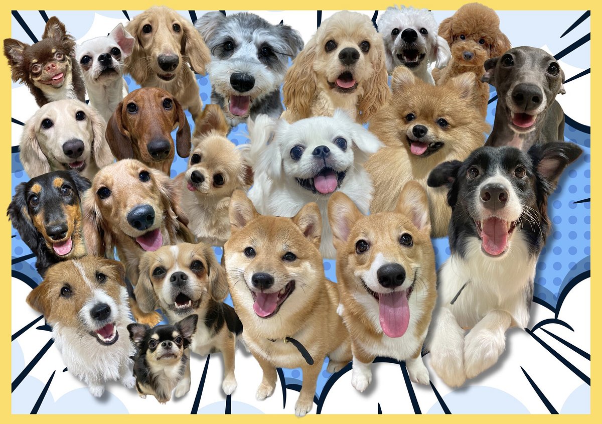 Dog Cafe Rio Shinjuku