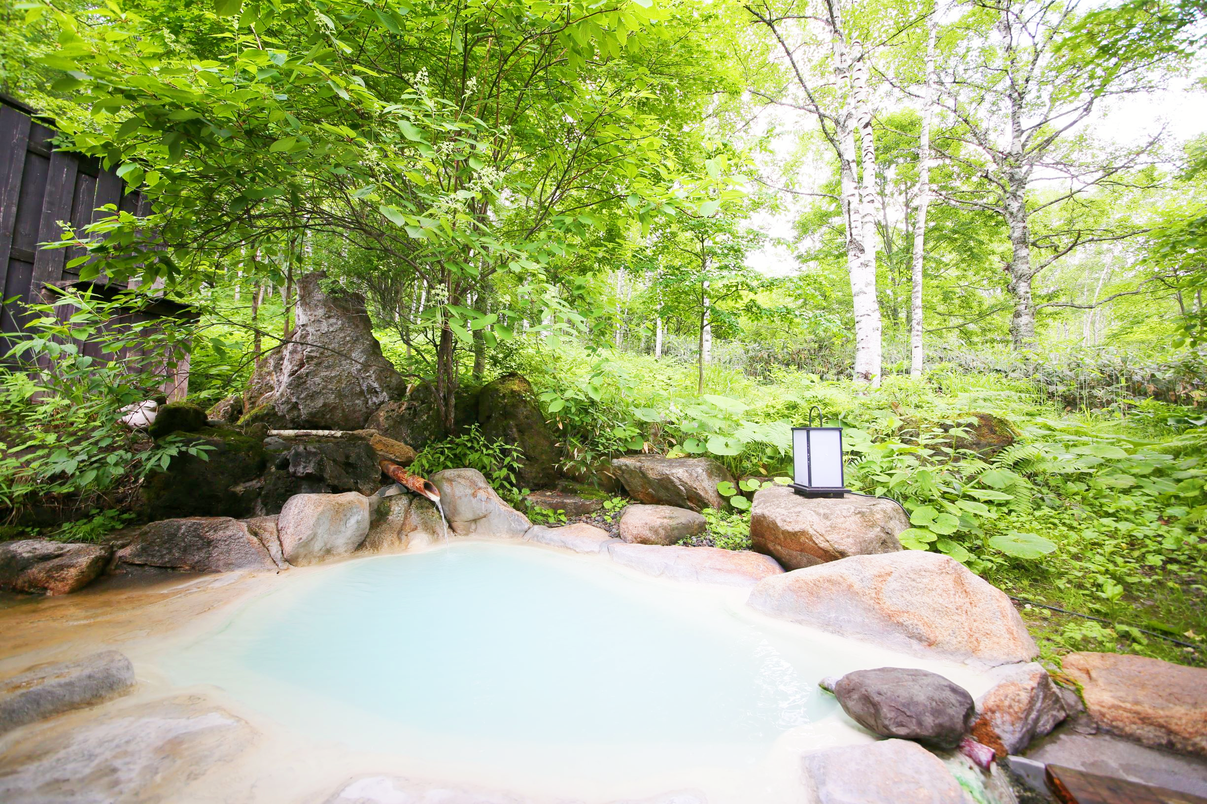 Shirahone Onsen cover image