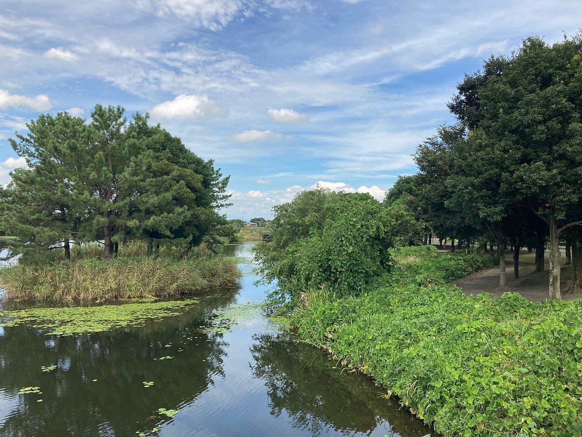 Hanyu Suigo Park cover image