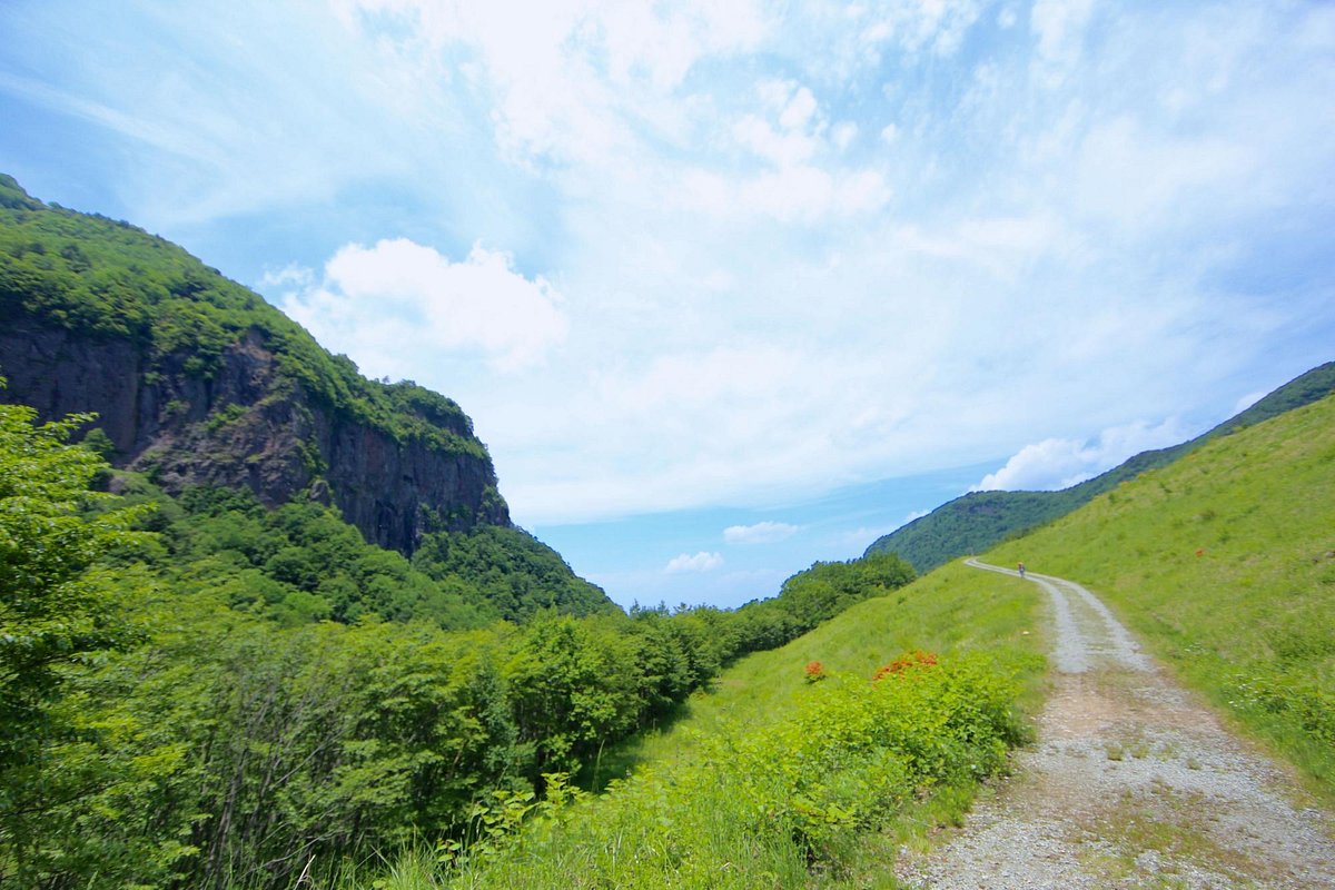 Yonako Daibakufu cover image