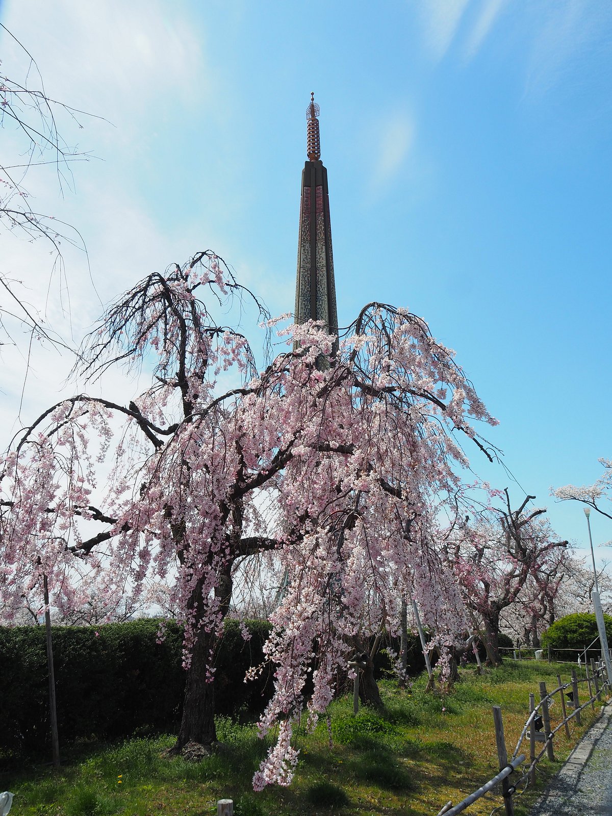 Bentenshu Meioji Temple cover image