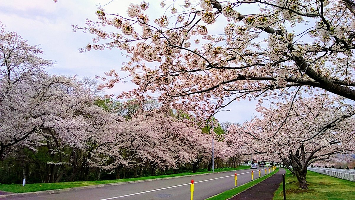 Toda Memorial Park Cemetery cover image