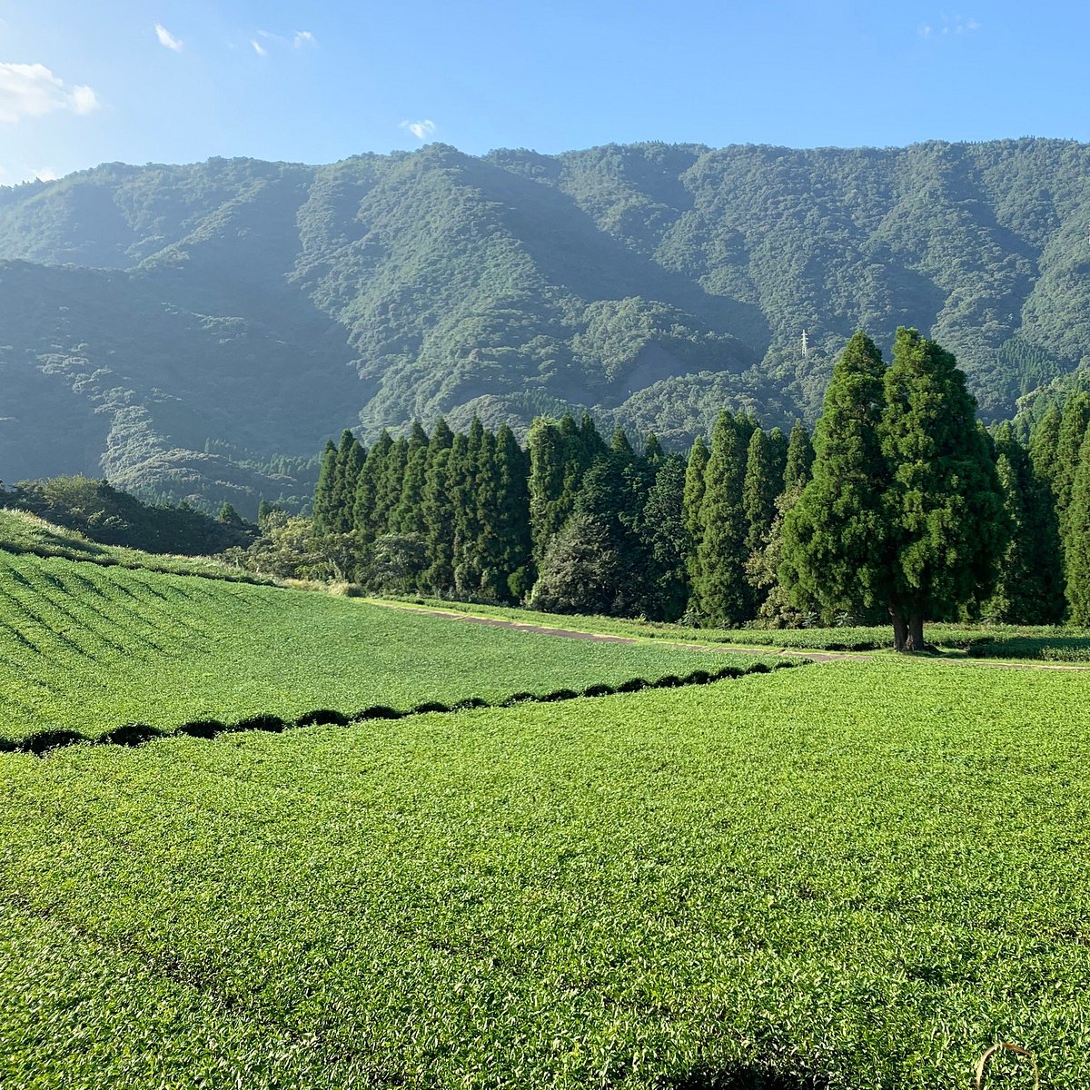 Kitaura Rinkai Park Kitaurara Umi Ichiba