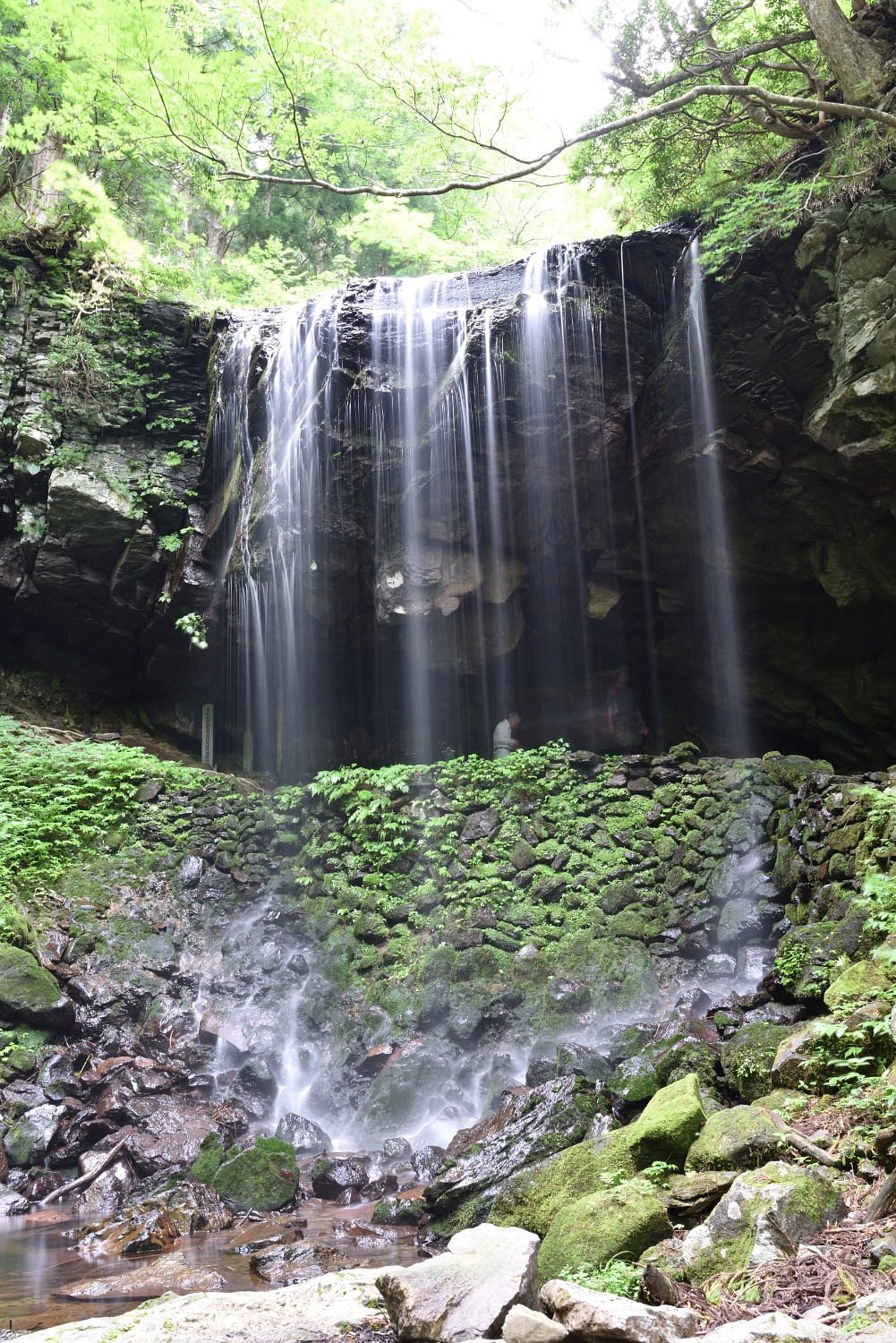 Iwai Falls cover image