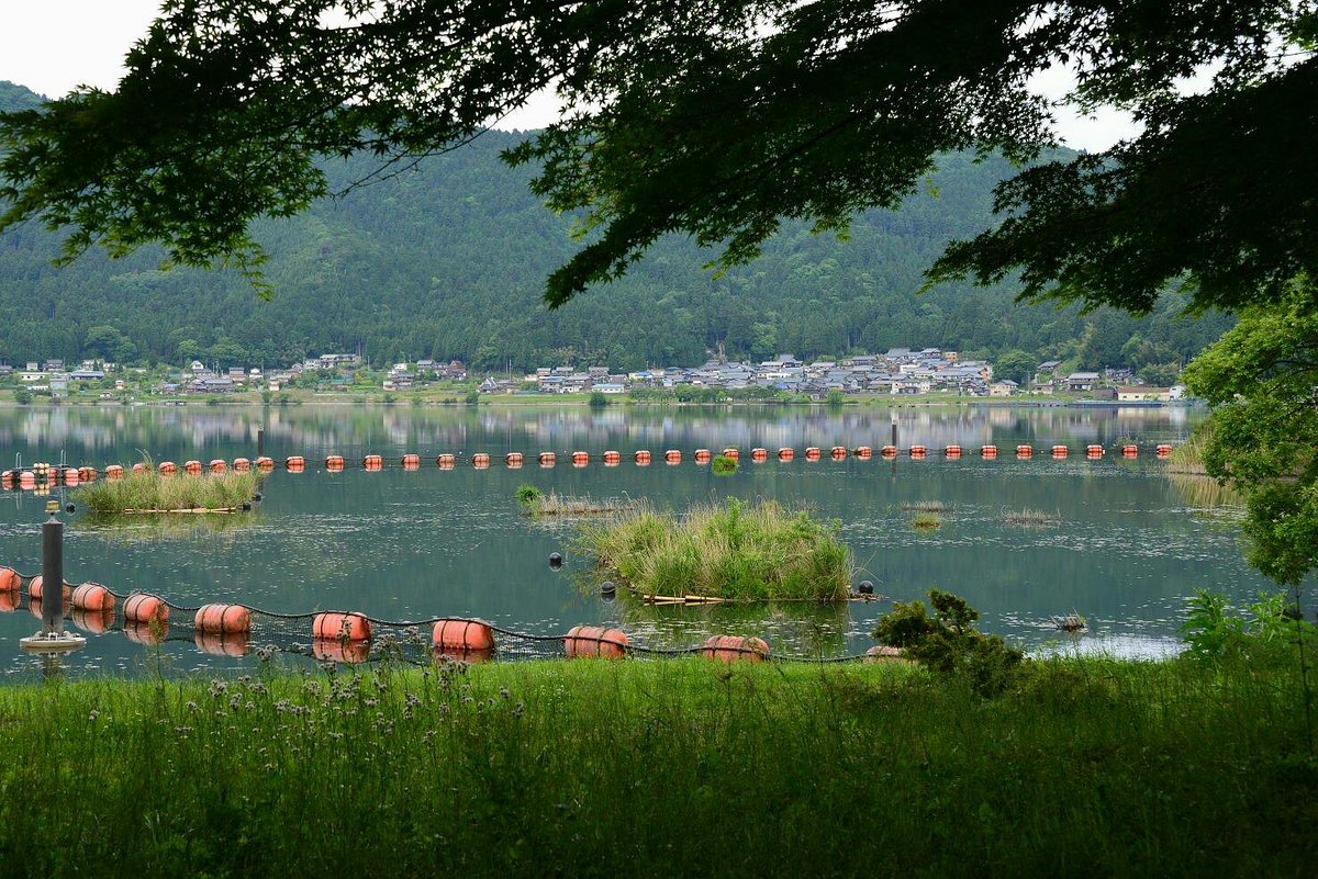 Lake Yogo cover image