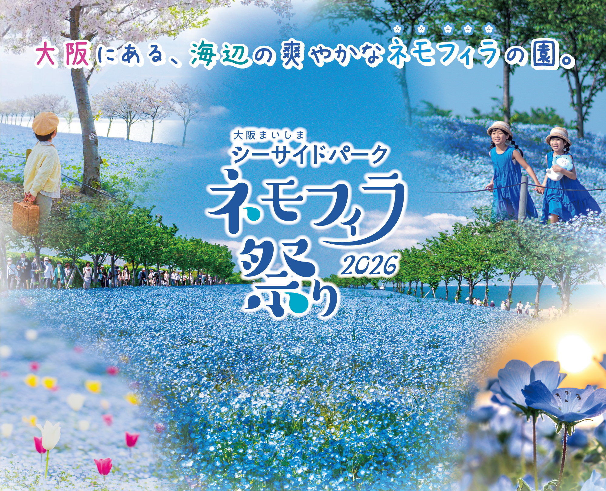 Nemophila Festival 2026 cover image