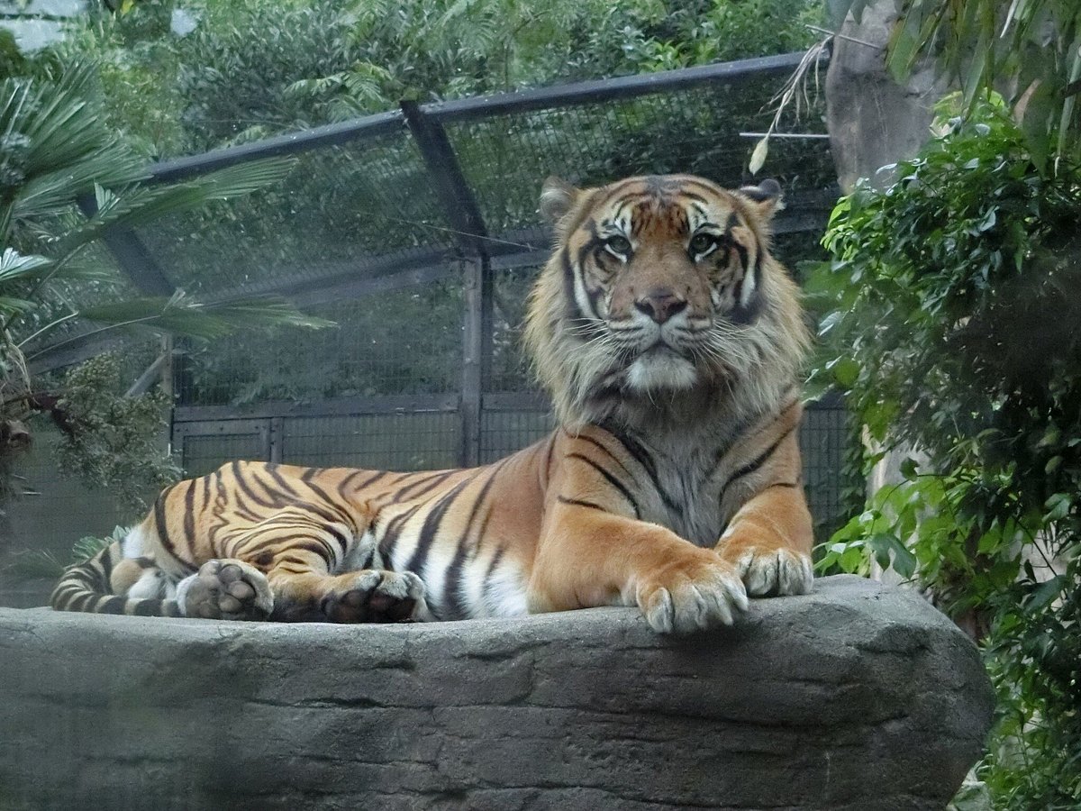 Yagiyama Zoological Park cover image