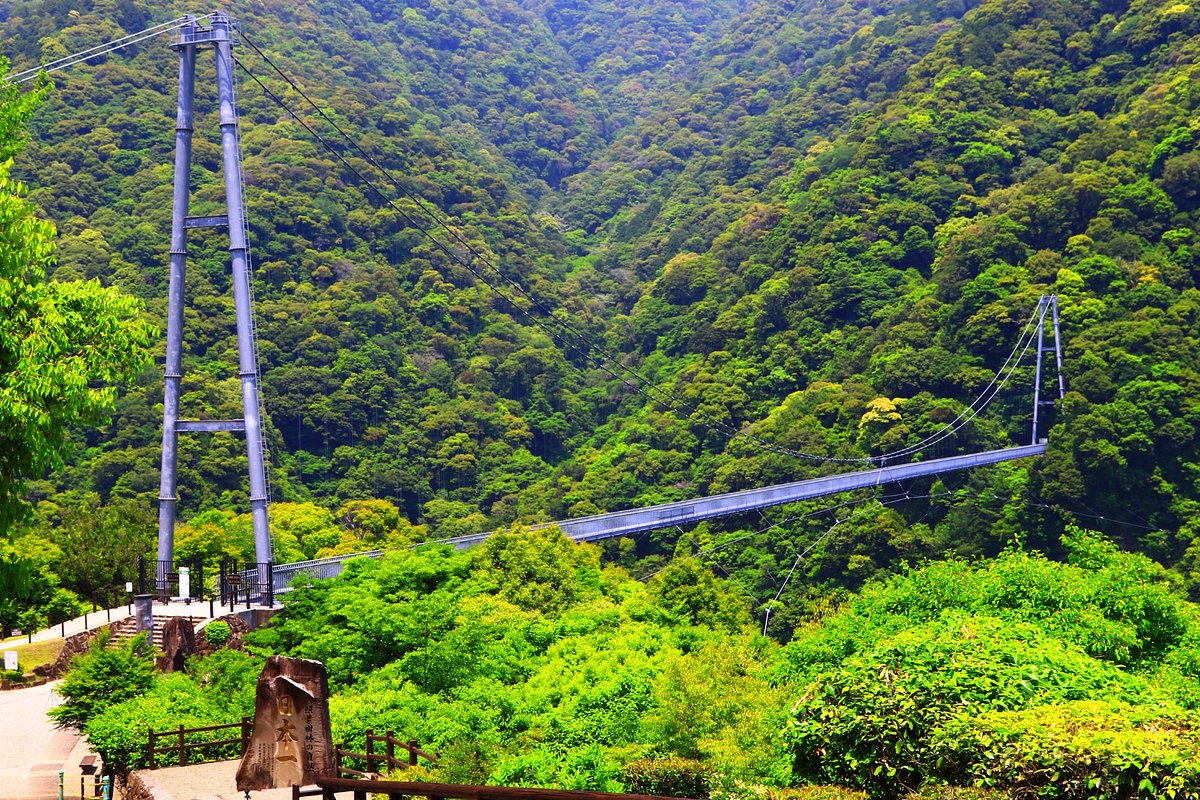 Aya Suspension Bridge