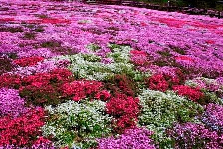 Michi-no-Eki - Meiho cover image