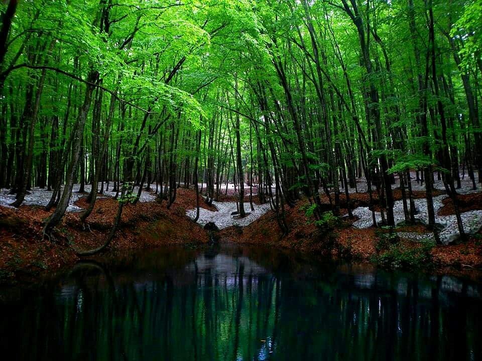 Bijinbayashi cover image