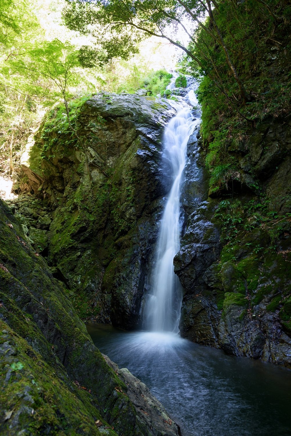 Hyakken-daki Waterfall cover image