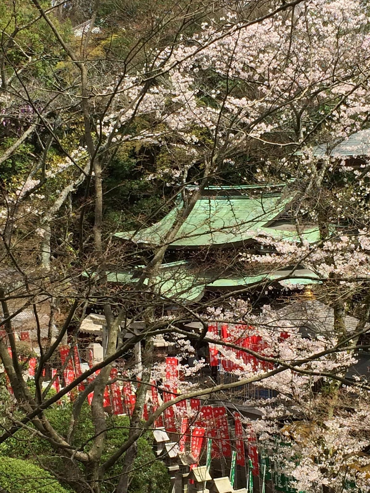 Mt. Shigi cover image