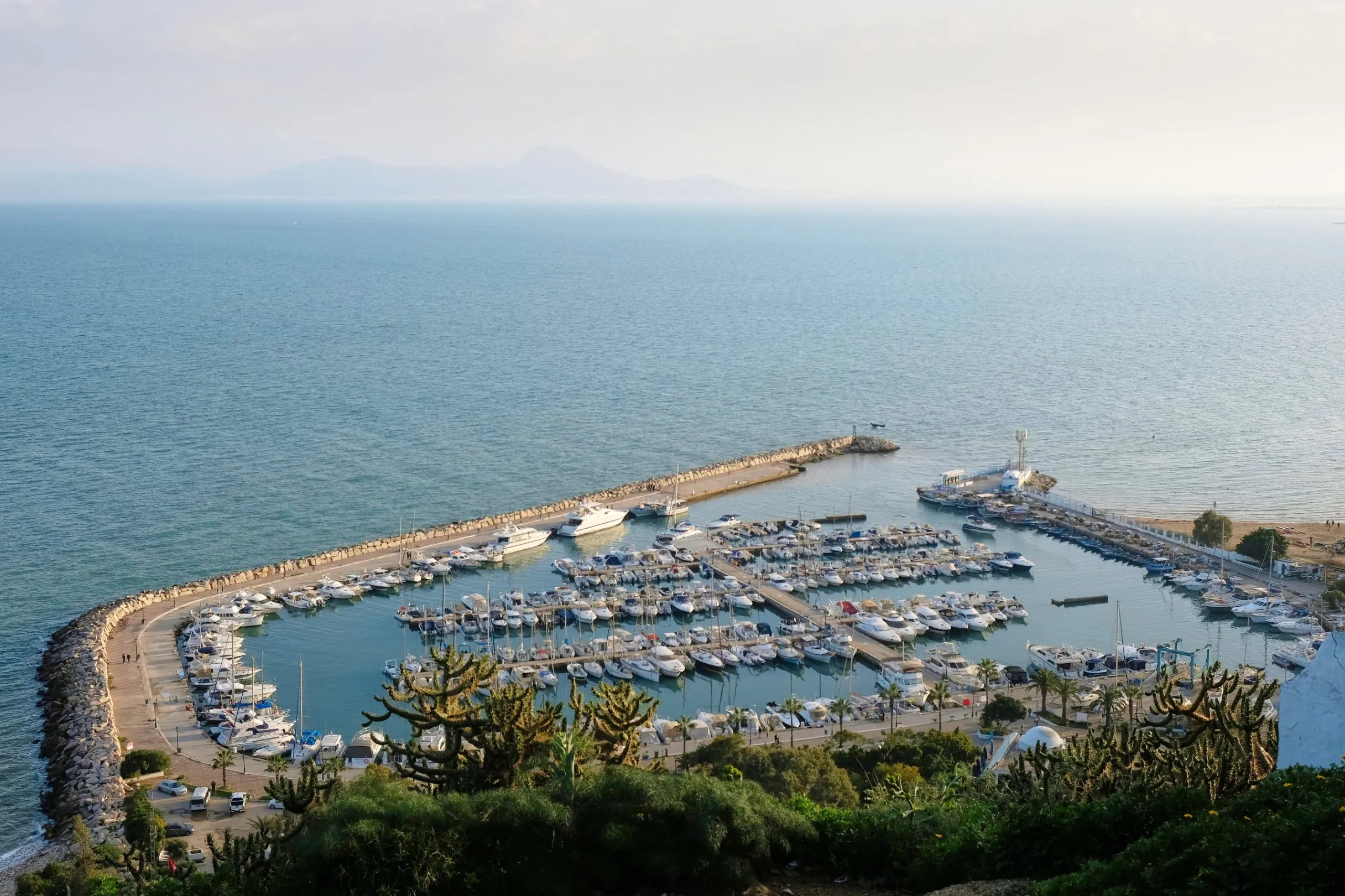 Sidi Bou Said Viewing Point