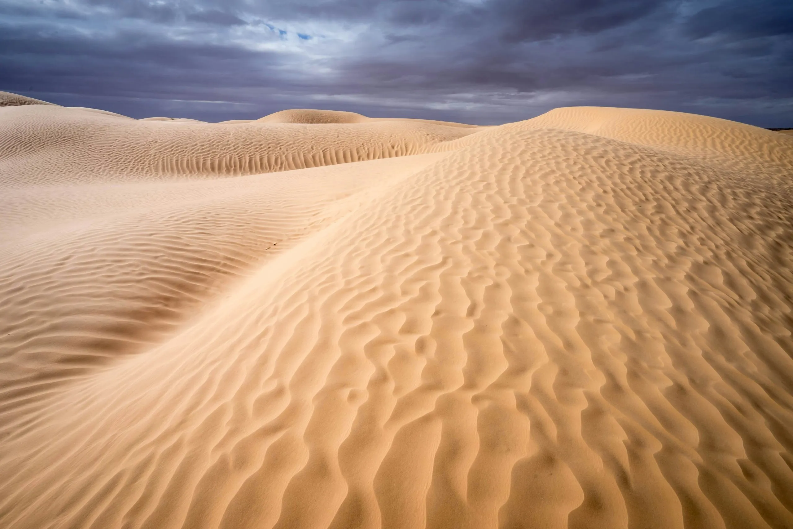 Sahara Tunisia