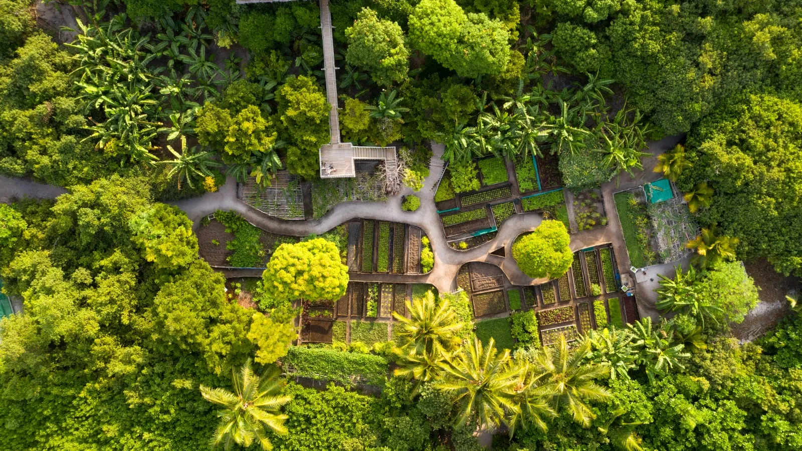 Soneva Fushi photo 3