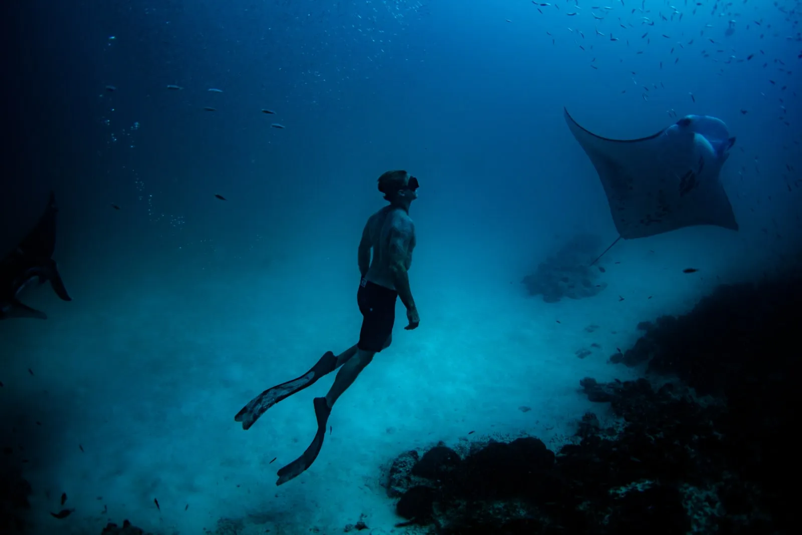 Soneva Fushi photo 5
