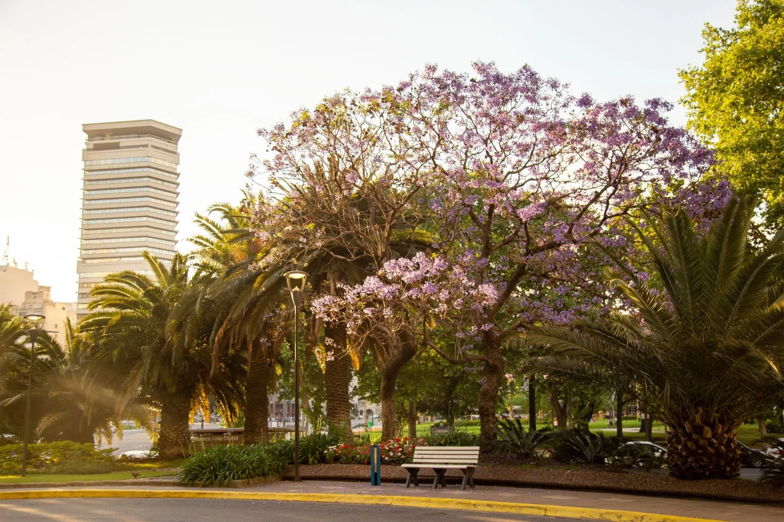 Park Tower, a Luxury Collection Hotel, Buenos Aires photo 5