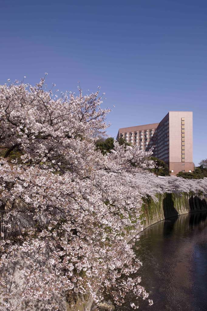 Hotel Chinzanso Tokyo photo 1