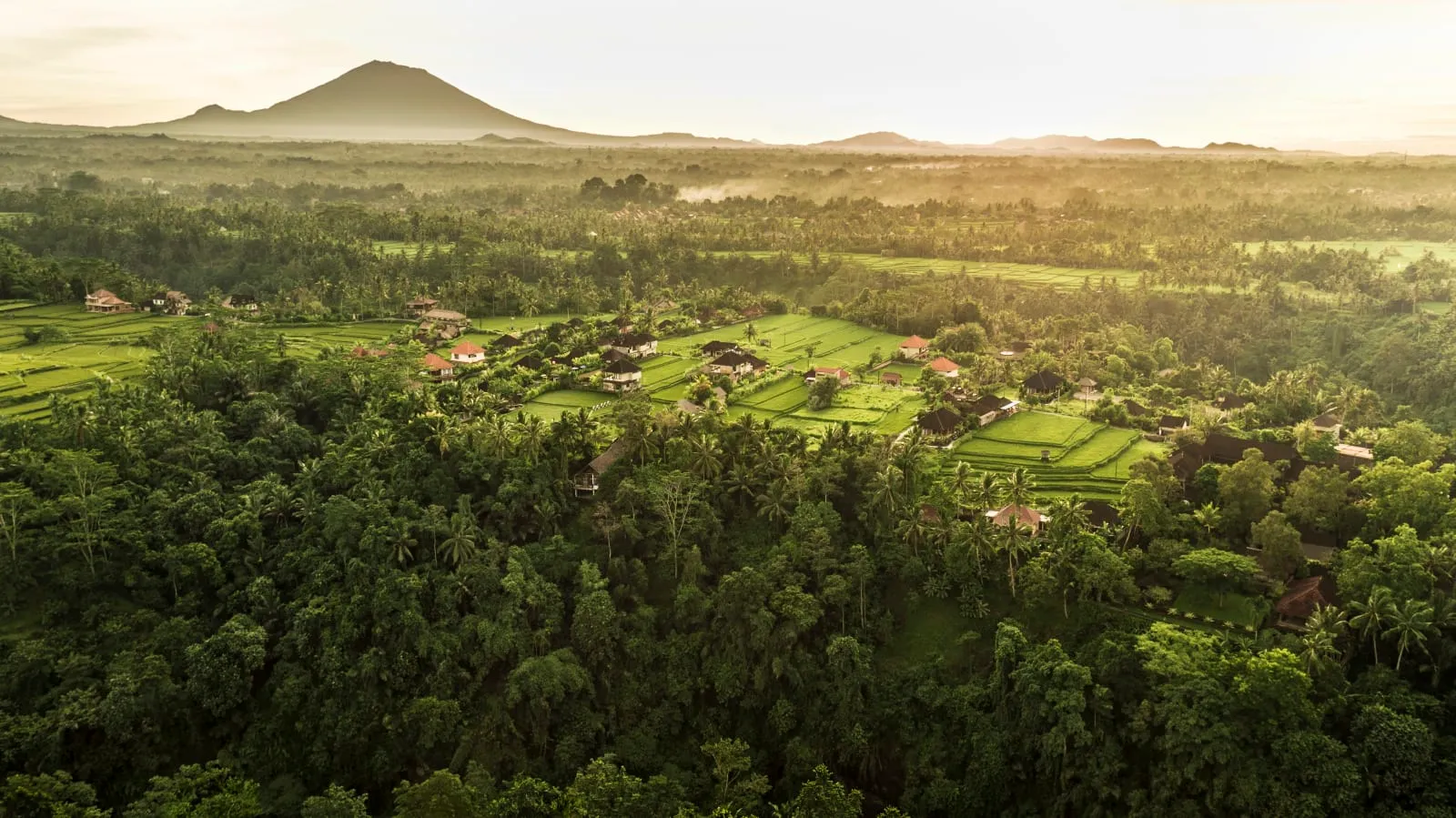 COMO Uma Ubud, Bali photo 3