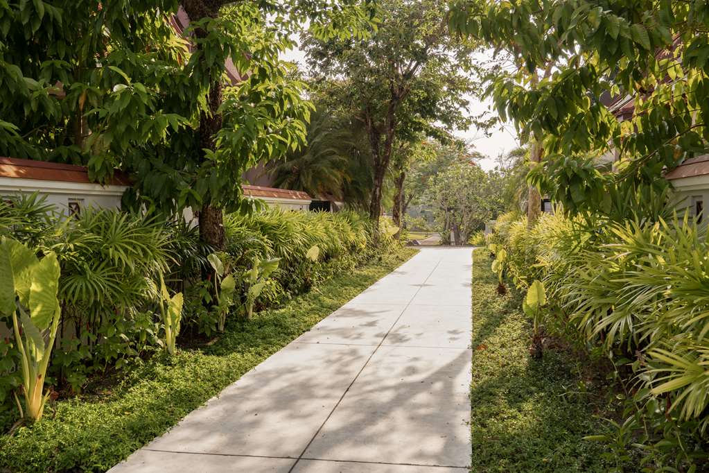 Banyan Tree Phuket photo 1