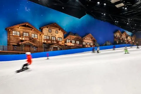 Vignette Collection SHANGHAI SNOW WORLD HOTEL by IHG photo 5