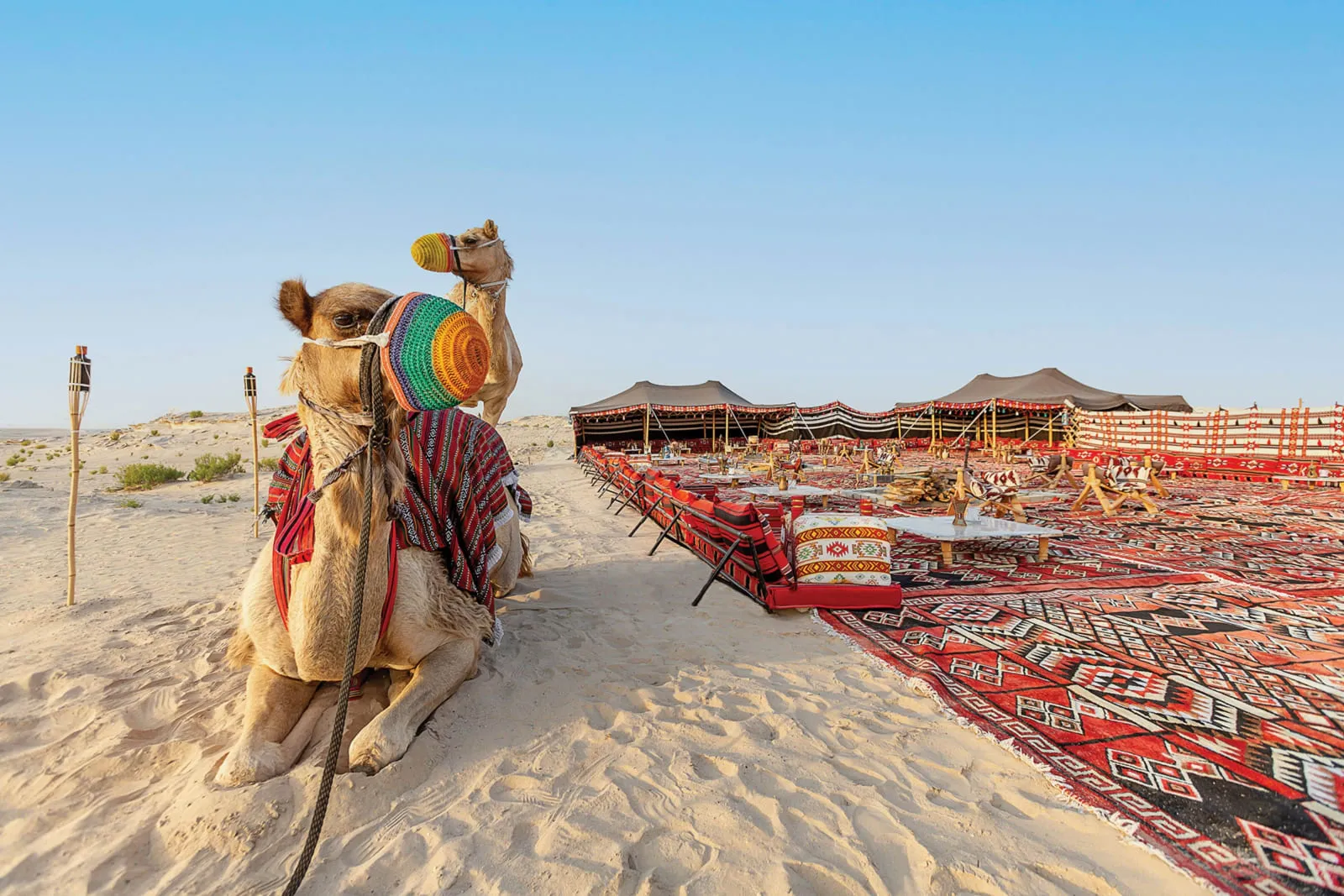 Al Wathba, a Luxury Collection Desert Resort & Spa, Abu Dhabi photo 4