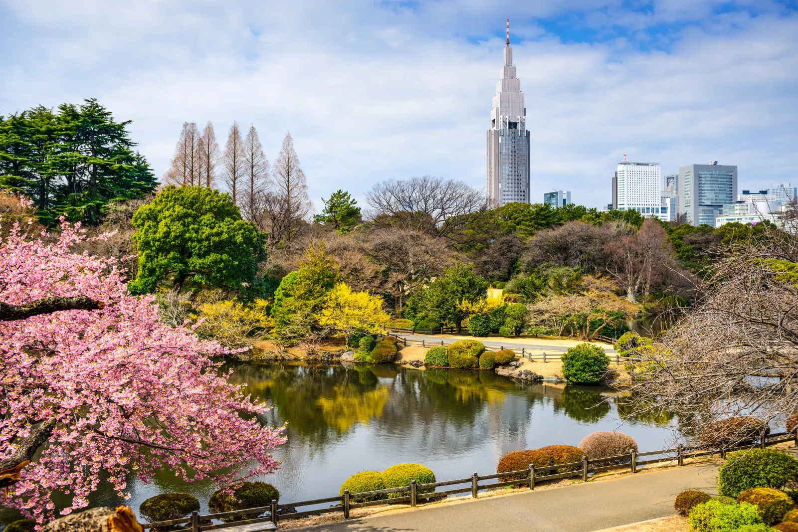 Kimpton SHINJUKU TOKYO by IHG photo 3