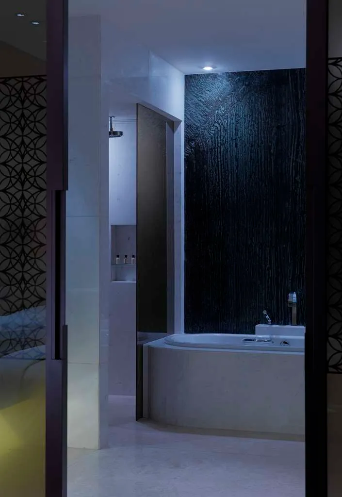 Park Hyatt Abu Dhabi photo 4