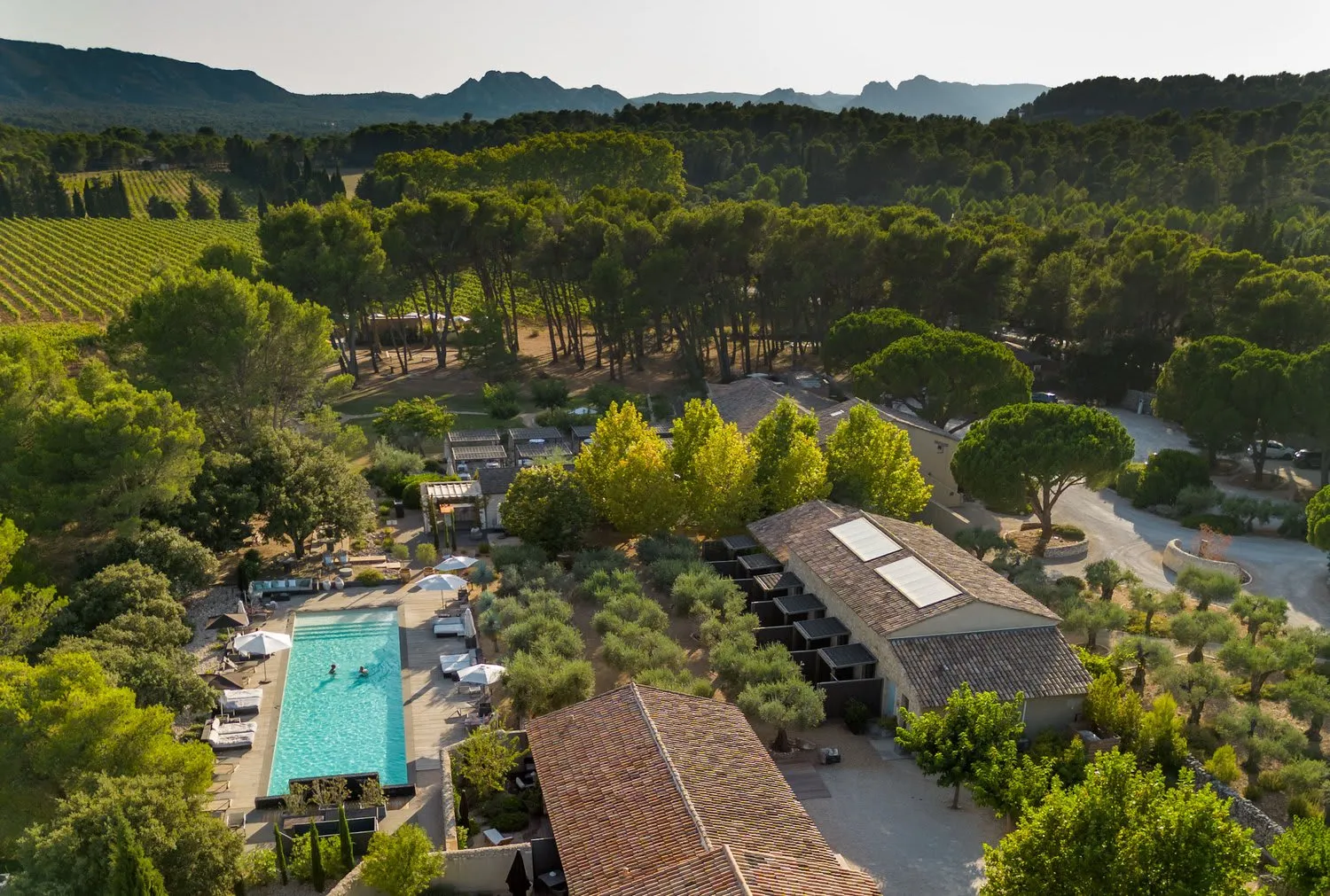 Domaine la Pierre Blanche photo 3