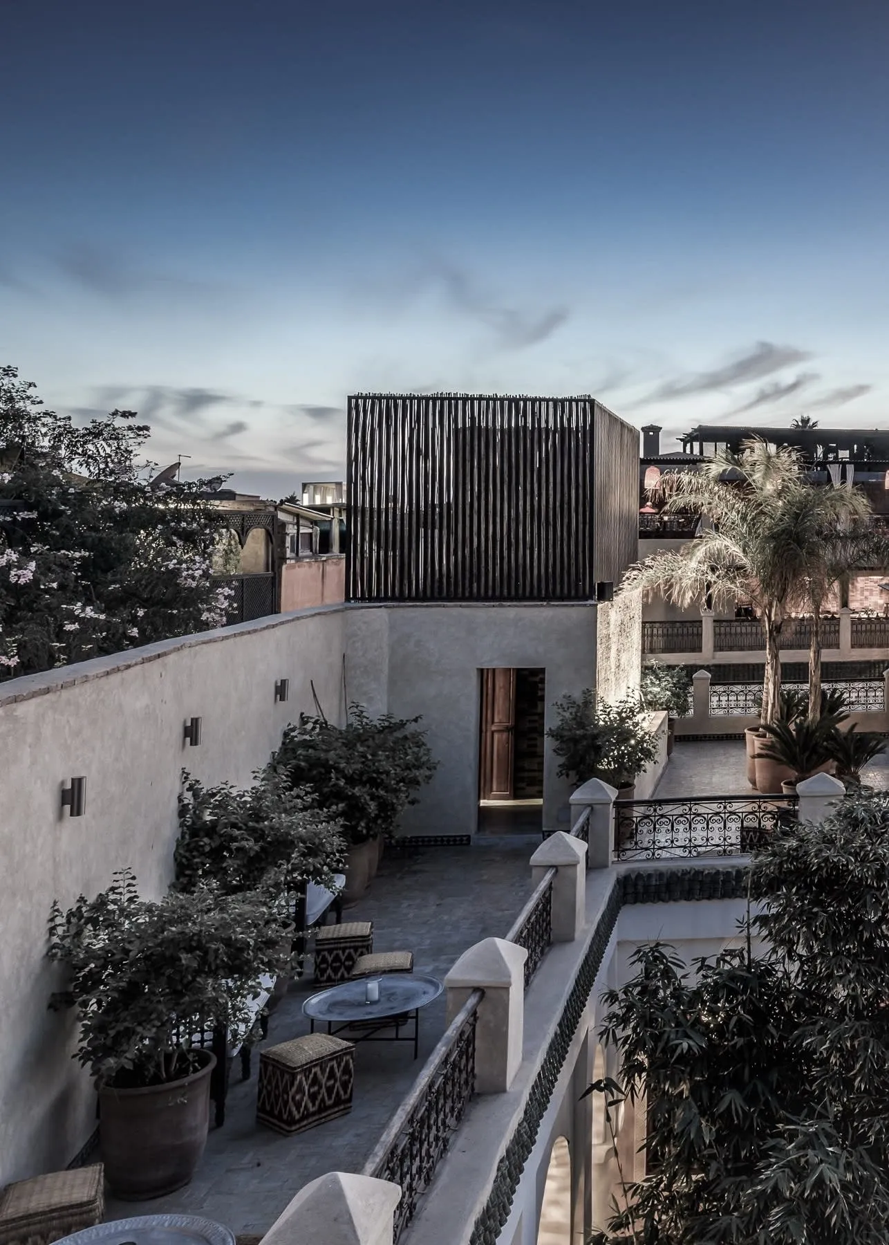 Riad Sakkan photo 2