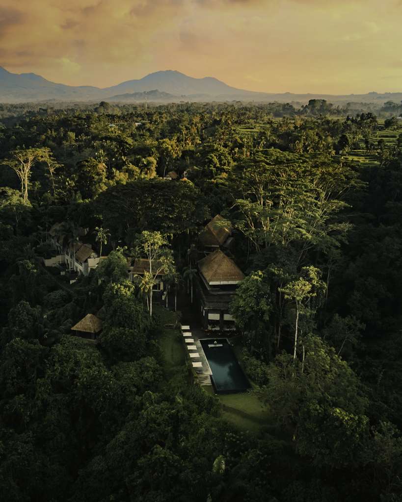 Alila Ubud photo 1