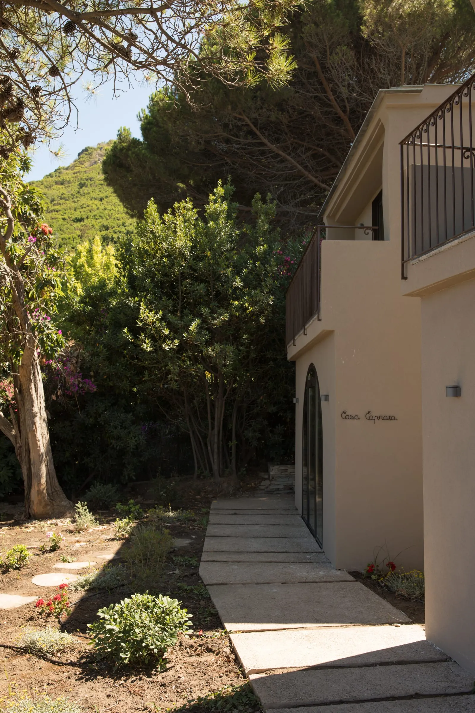 Domaine Misincu photo 3