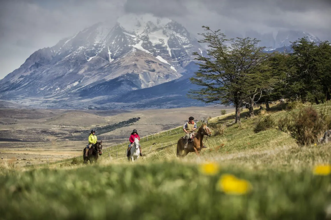 Awasi Patagonia photo 4