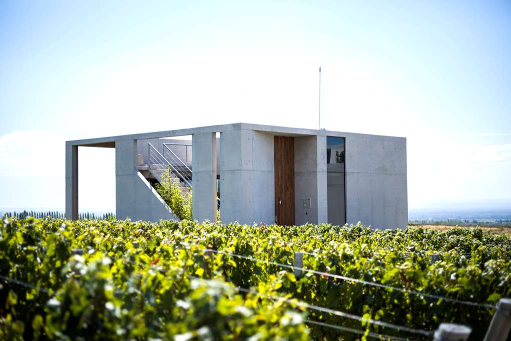 Casa de Uco Vineyards & Wine Hotel photo 2