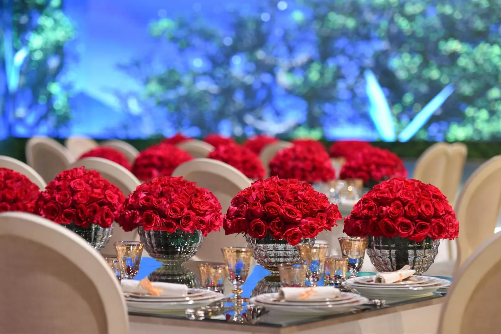 The Ritz-Carlton, Doha photo 4